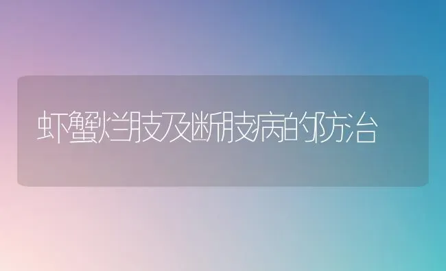 虾蟹烂肢及断肢病的防治 | 养殖技术大全