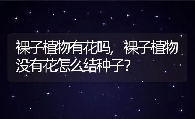 裸子植物有花吗,裸子植物没有花怎么结种子？ | 养殖科普