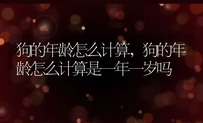 狗的年龄怎么计算,狗的年龄怎么计算是一年一岁吗 | 养殖科普