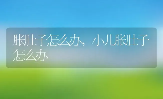 胀肚子怎么办,小儿胀肚子怎么办 | 养殖资料