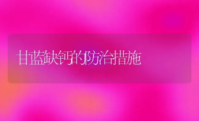 甘蓝缺钙的防治措施 | 养殖技术大全