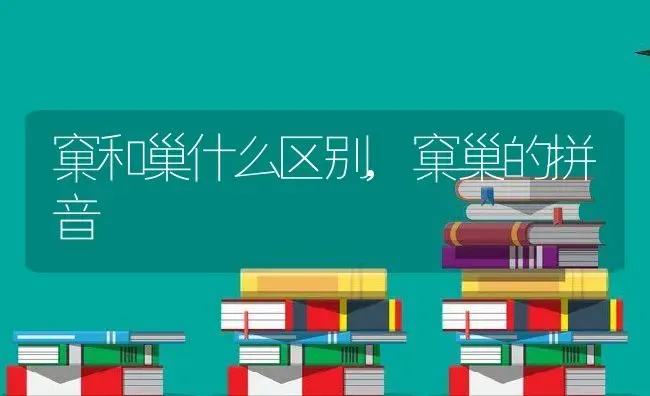 窠和巢什么区别,窠巢的拼音 | 养殖资料