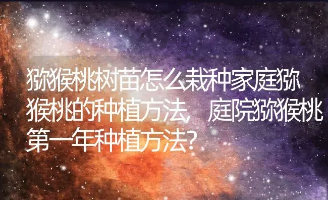 猕猴桃树苗怎么栽种家庭猕猴桃的种植方法,庭院猕猴桃第一年种植方法？ | 养殖科普