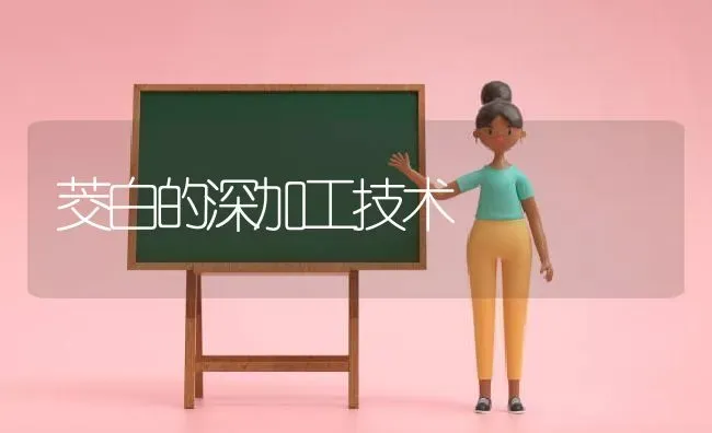 茭白的深加工技术 | 养殖技术大全