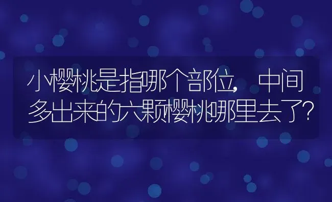 小樱桃是指哪个部位,中间多出来的六颗樱桃哪里去了？ | 养殖学堂