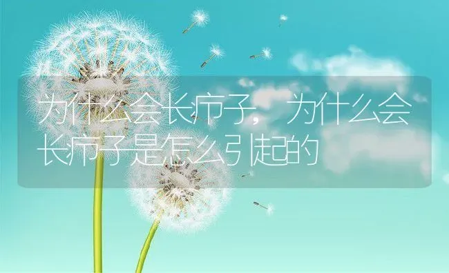为什么会长疖子,为什么会长疖子是怎么引起的 | 养殖科普