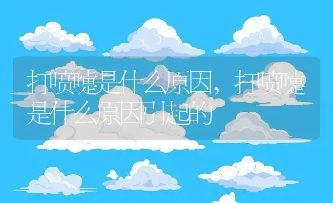 打喷嚏是什么原因,打喷嚏是什么原因引起的 | 养殖科普