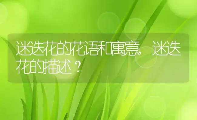 泰迪为什么要断尾,泰迪为什么要断尾 是为了好看还是延长寿命 | 养殖资料