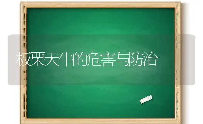 板栗天牛的危害与防治 | 养殖知识