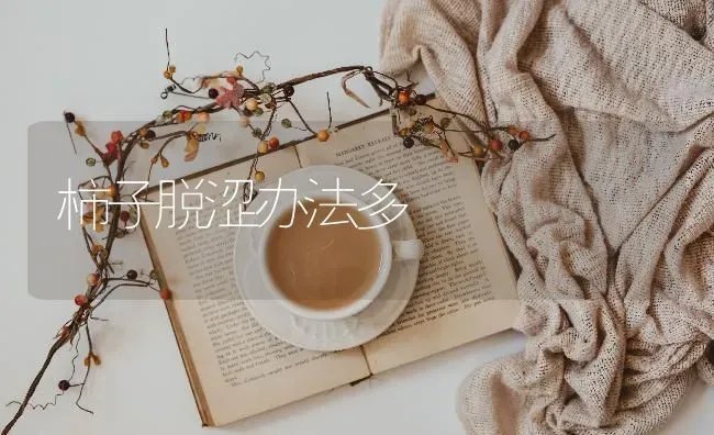 柿子脱涩办法多 | 养殖技术大全