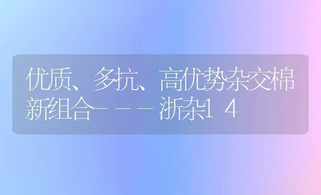 优质、多抗、高优势杂交棉新组合---浙杂14 | 养殖技术大全