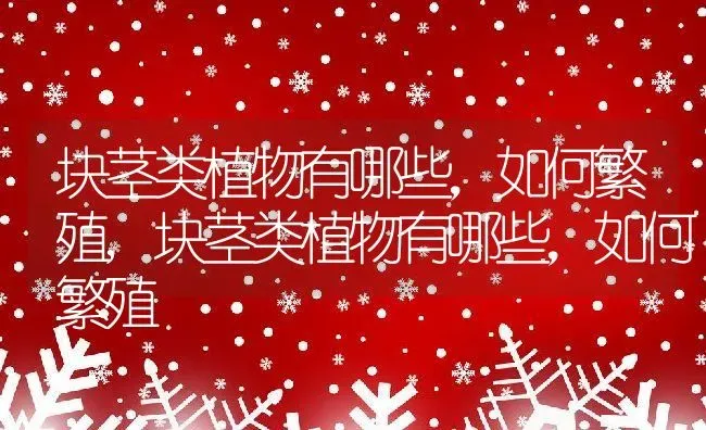 块茎类植物有哪些，如何繁殖,块茎类植物有哪些，如何繁殖 | 养殖科普