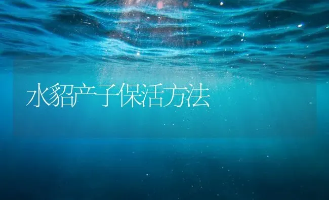 水貂产子保活方法 | 养殖知识