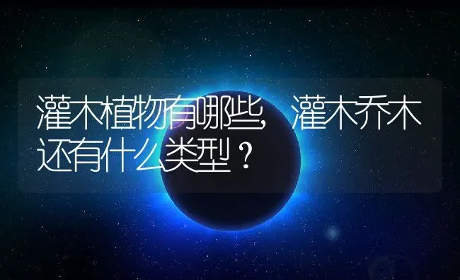 灌木植物有哪些,灌木乔木还有什么类型？ | 养殖科普