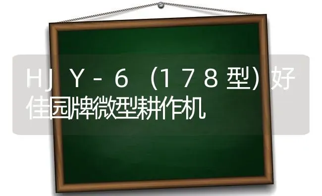 HJY-6(178型)好佳园牌微型耕作机 | 养殖技术大全