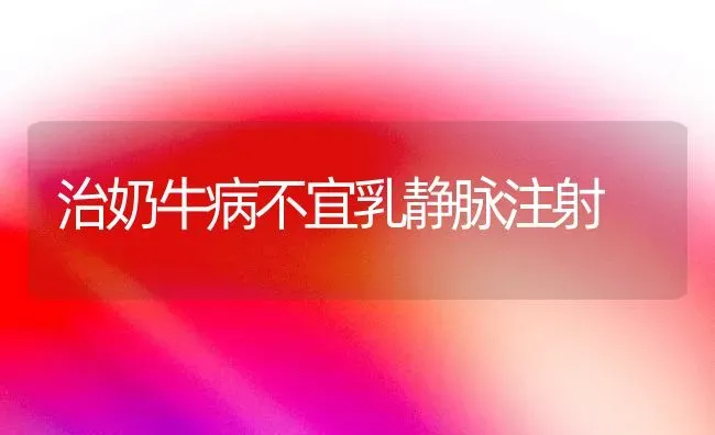 治奶牛病不宜乳静脉注射 | 养殖知识