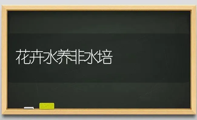 花卉水养非水培 | 养殖知识