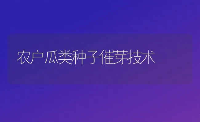 农户瓜类种子催芽技术 | 养殖技术大全