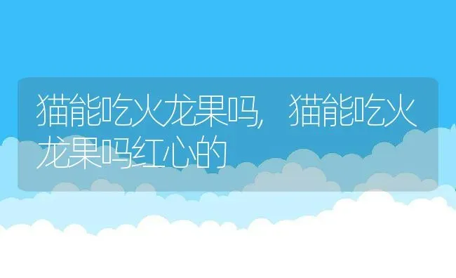 猫能吃火龙果吗,猫能吃火龙果吗红心的 | 养殖科普