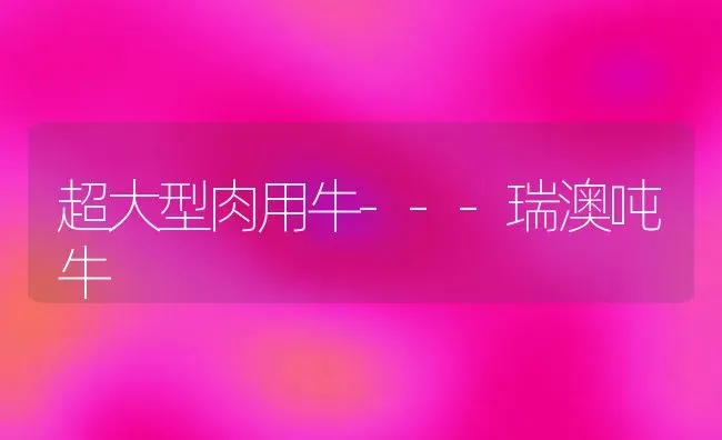 超大型肉用牛---瑞澳吨牛 | 养殖技术大全