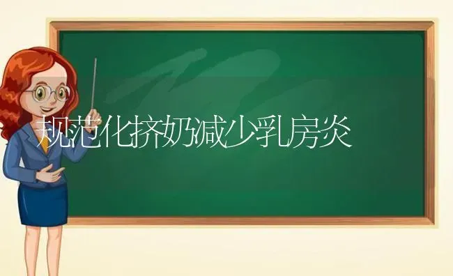 规范化挤奶减少乳房炎 | 养殖知识