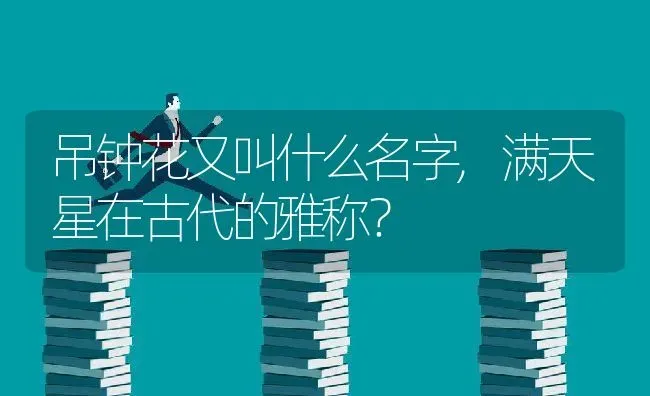 家里能种梅花树吗,求解答在家里养梅花好吗？ | 养殖科普