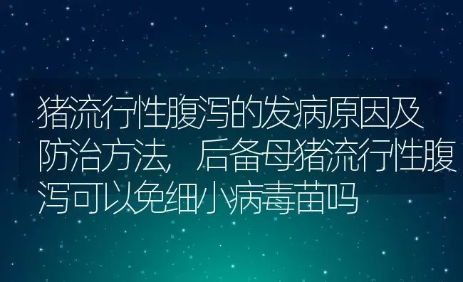 猪流行性腹泻的发病原因及防治方法,后备母猪流行性腹泻可以免细小病毒苗吗 | 养殖学堂