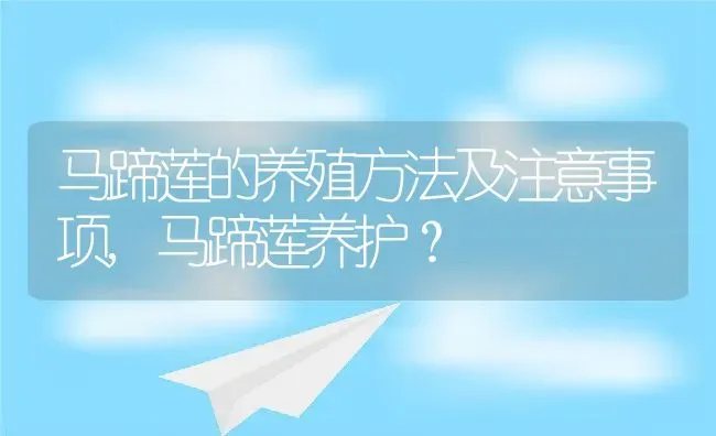 马蹄莲的养殖方法及注意事项,马蹄莲养护？ | 养殖科普