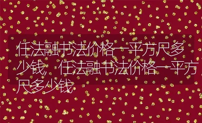 任法融书法价格一平方尺多少钱,任法融书法价格一平方尺多少钱 | 养殖科普