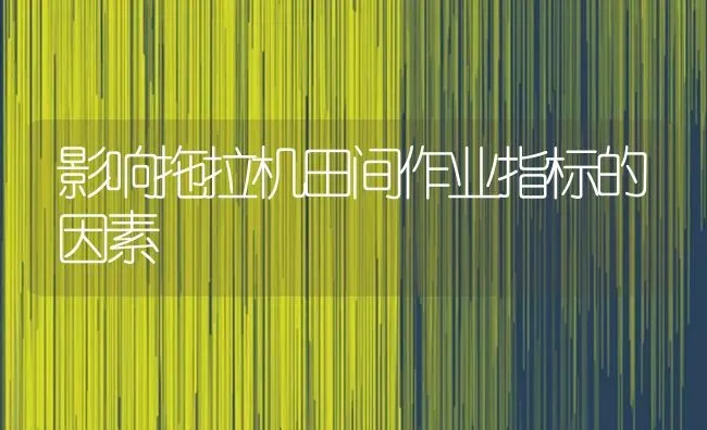 影响拖拉机田间作业指标的因素 | 养殖技术大全