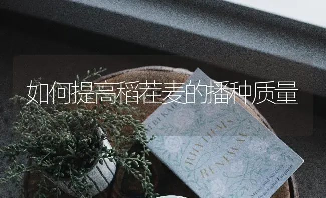 番茄花脸病怎样防治 | 养殖技术大全