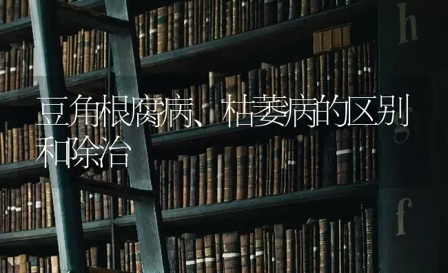 豆角根腐病、枯萎病的区别和除治 | 养殖技术大全