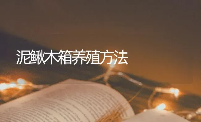 泥鳅木箱养殖方法 | 养殖技术大全