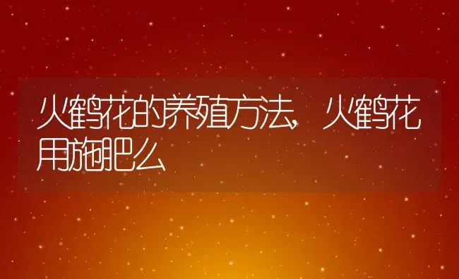 火鹤花的养殖方法,火鹤花用施肥么 | 养殖学堂