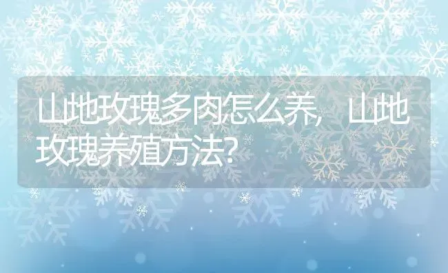 山地玫瑰多肉怎么养,山地玫瑰养殖方法？ | 养殖科普