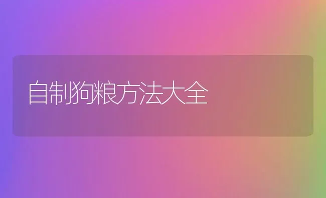 自制狗粮方法大全 | 养殖学堂