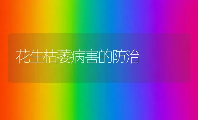 花生枯萎病害的防治 | 养殖技术大全