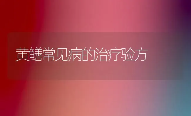 黄鳝常见病的治疗验方 | 养殖知识