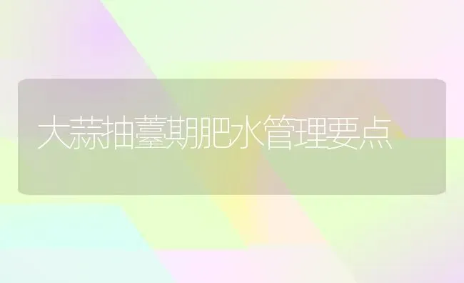 大蒜抽薹期肥水管理要点 | 养殖技术大全