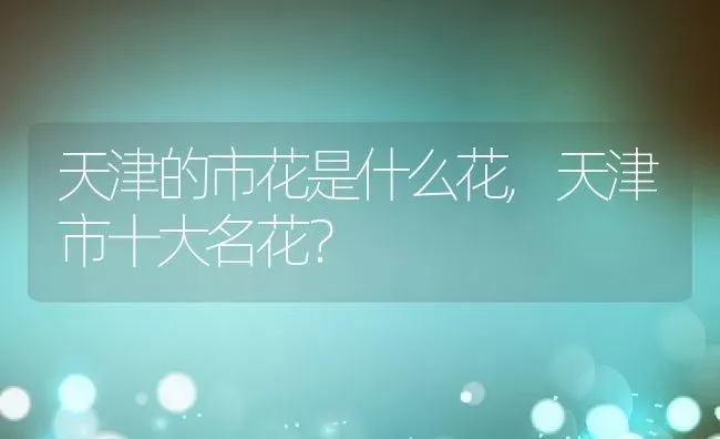 天津的市花是什么花,天津市十大名花？ | 养殖科普
