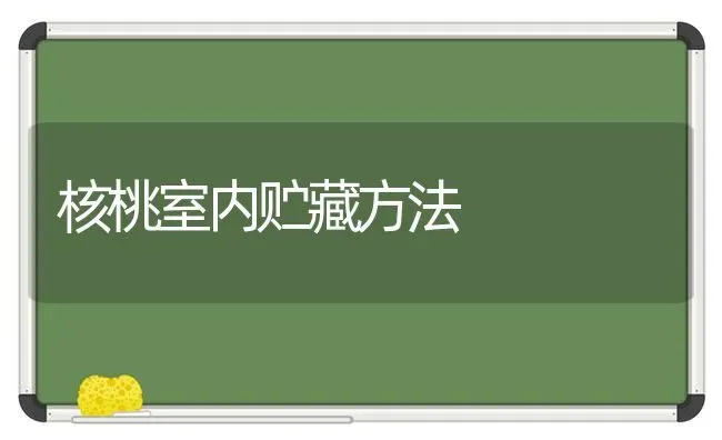 核桃室内贮藏方法 | 养殖技术大全