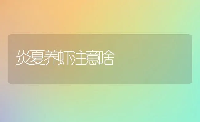 炎夏养虾注意啥 | 养殖技术大全