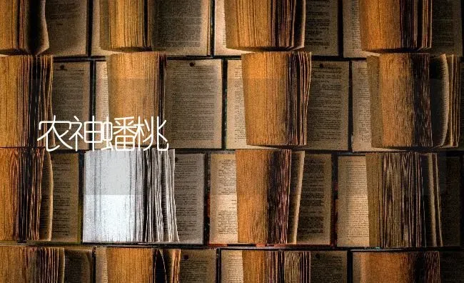 农神蟠桃 | 养殖技术大全