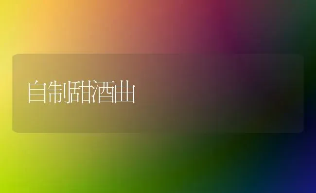 自制甜酒曲 | 养殖知识