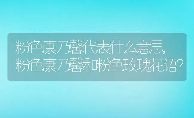 粉色康乃馨代表什么意思,粉色康乃馨和粉色玫瑰花语？ | 养殖学堂
