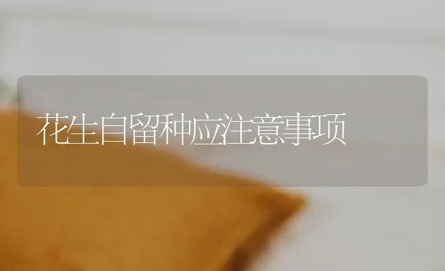 花生自留种应注意事项 | 养殖知识