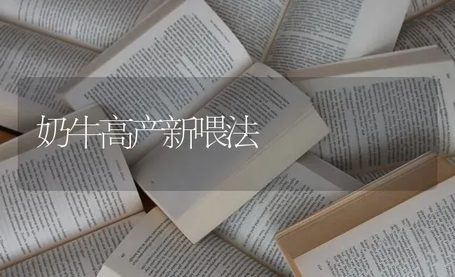 奶牛高产新喂法 | 养殖知识