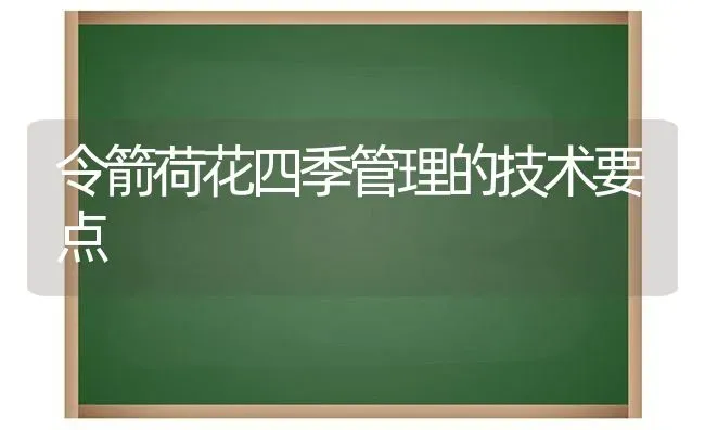 令箭荷花四季管理的技术要点 | 养殖知识