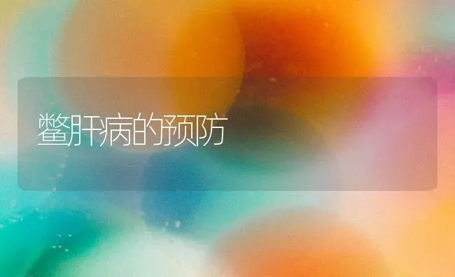 鳖肝病的预防 | 养殖知识