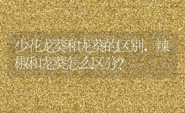 少花龙葵和龙葵的区别,辣椒和龙葵怎么区分？ | 养殖科普